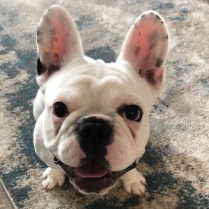 Meet your Posher, Kelly